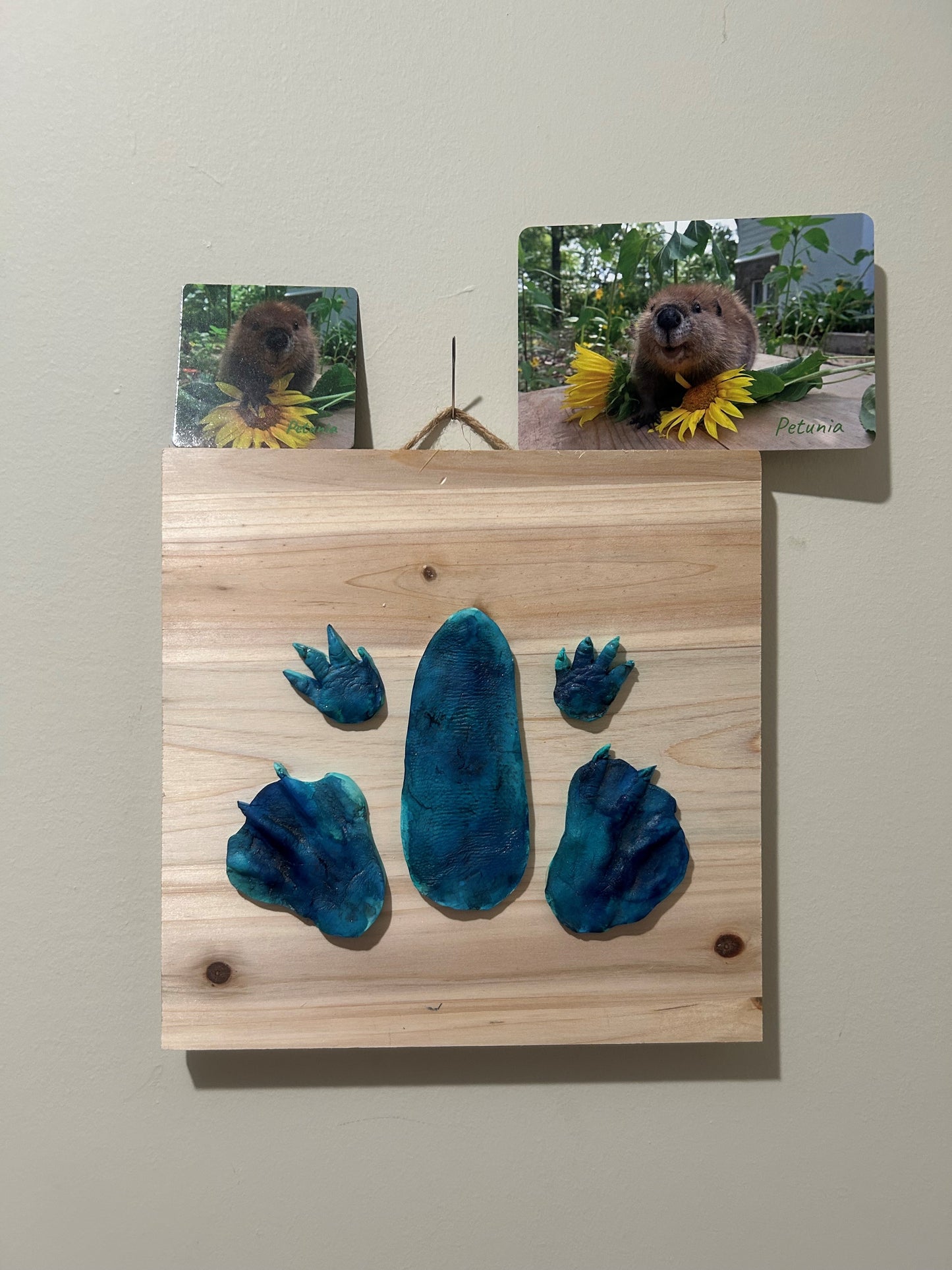 3D Petunia Tail, Paw and Flipper Cast 10x10 natural wooden board Navy Blue