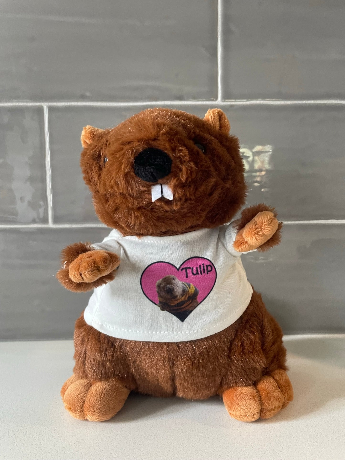 Tulip Beaver Plush LIMITED EDITION