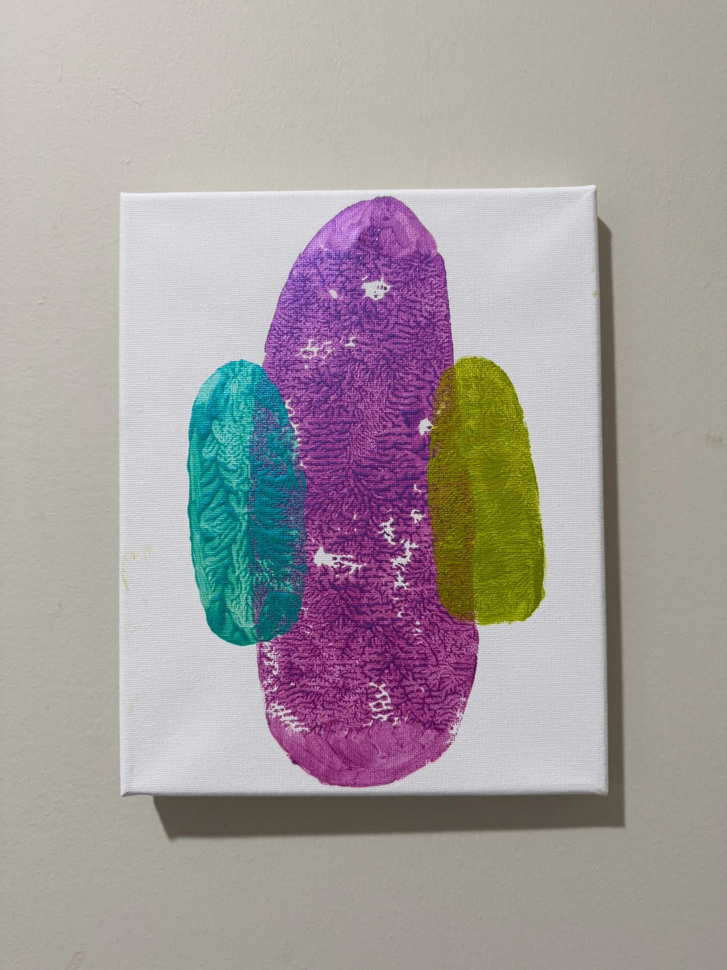 Tulip with Baby Sprout and Blossom 8x10 White Canvas