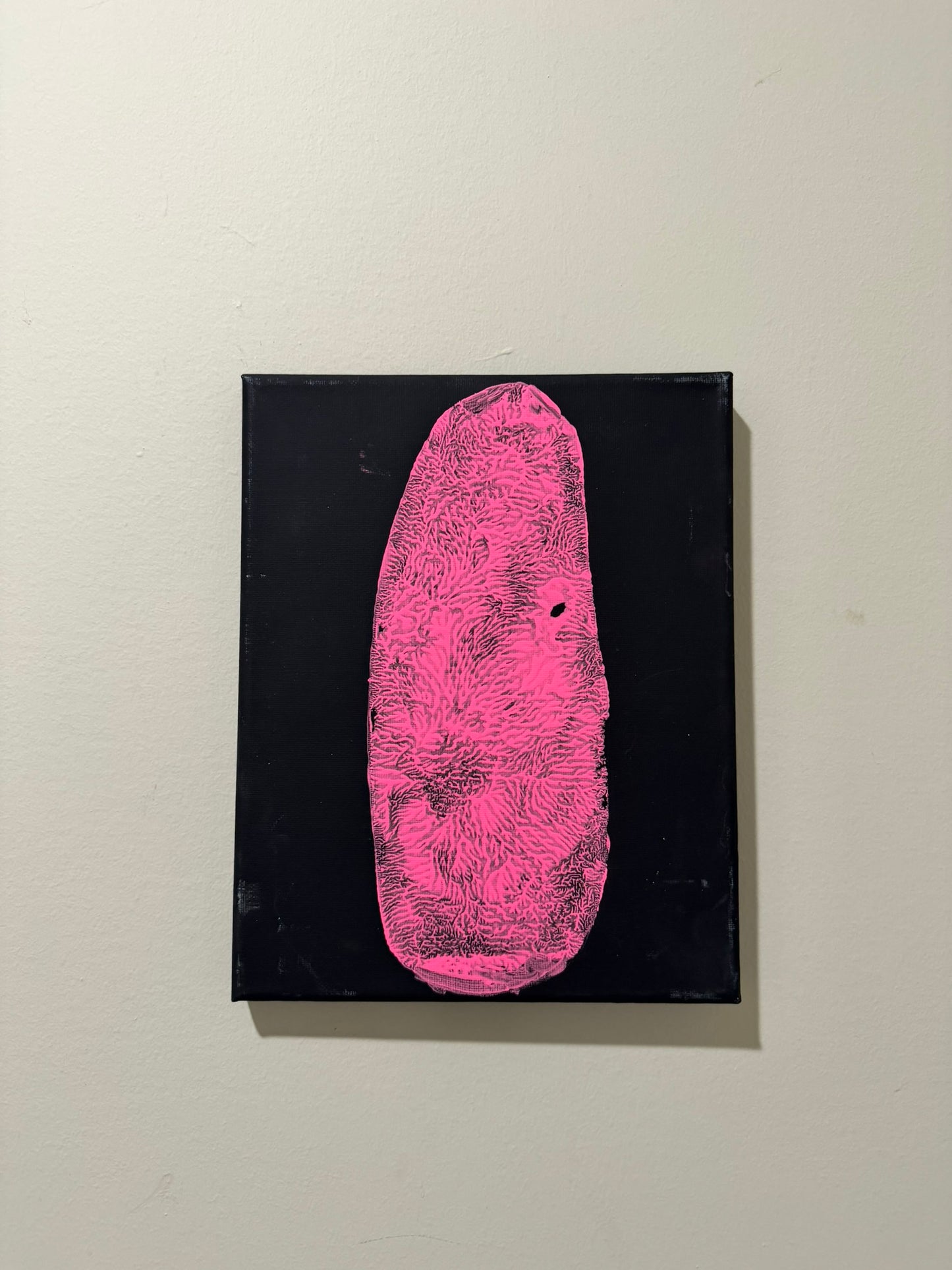 Hot Pink Tulip Tail Print on 8x10 Black Canvas