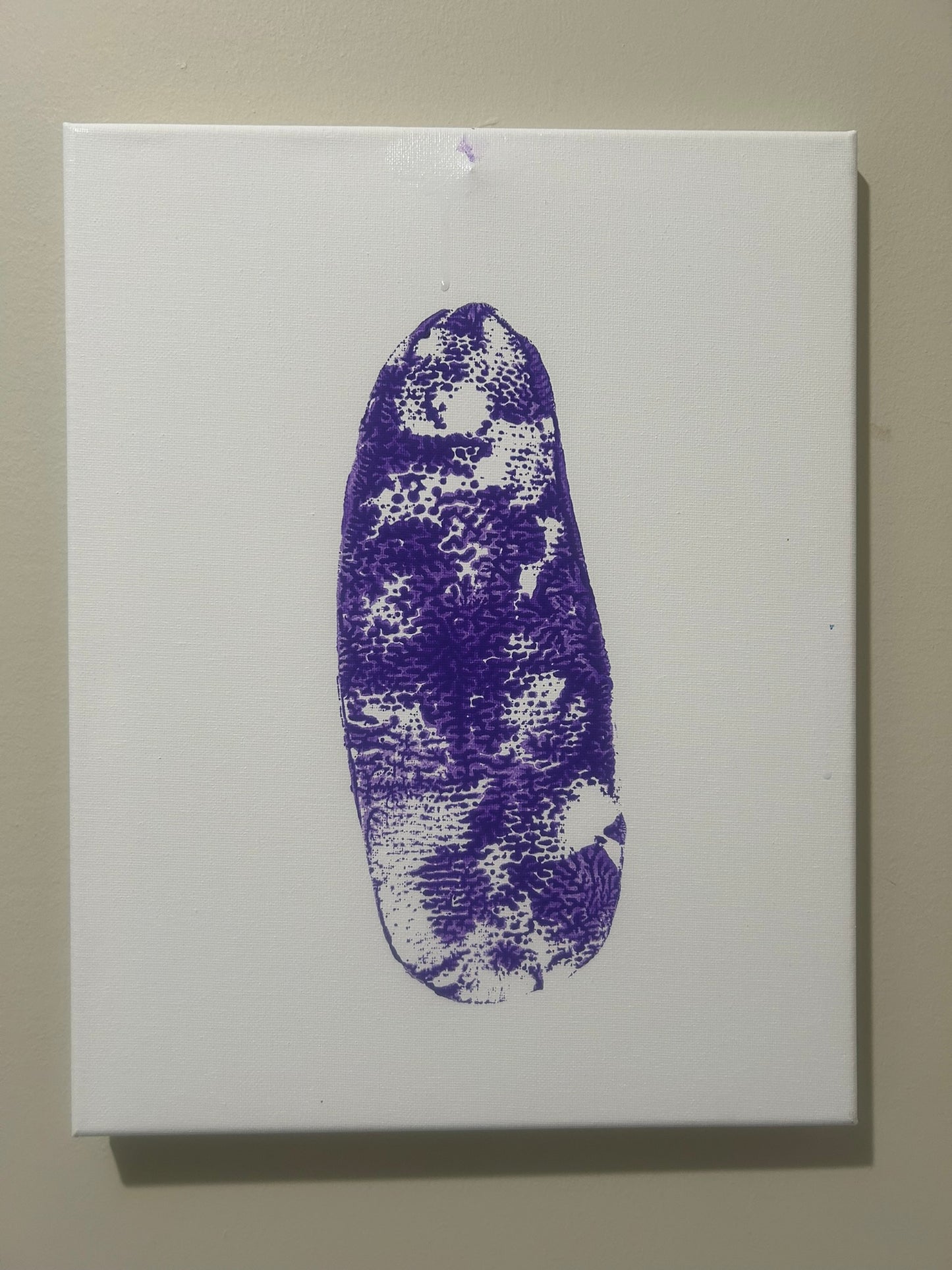 Tulip 11x14 Tail Print Purple