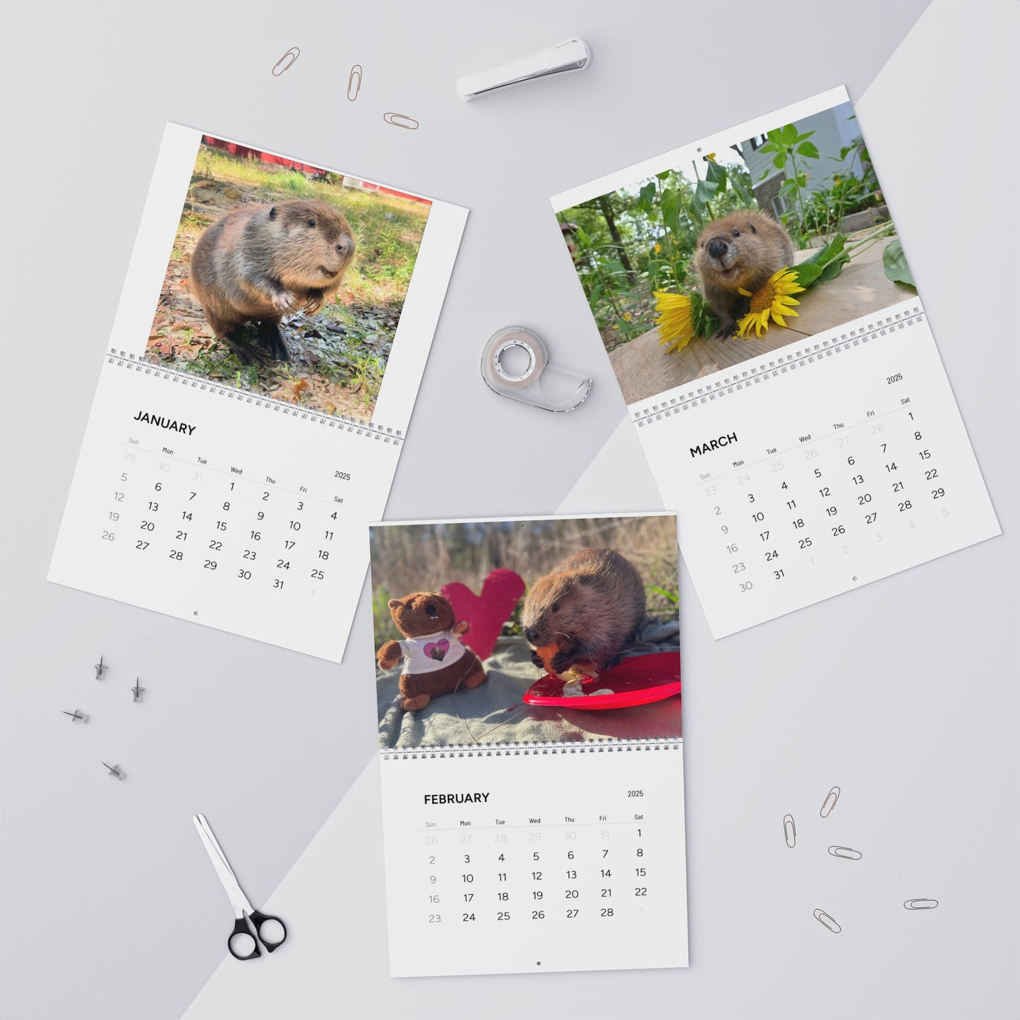 Something Wild Beaver Wall Calendars (2025)