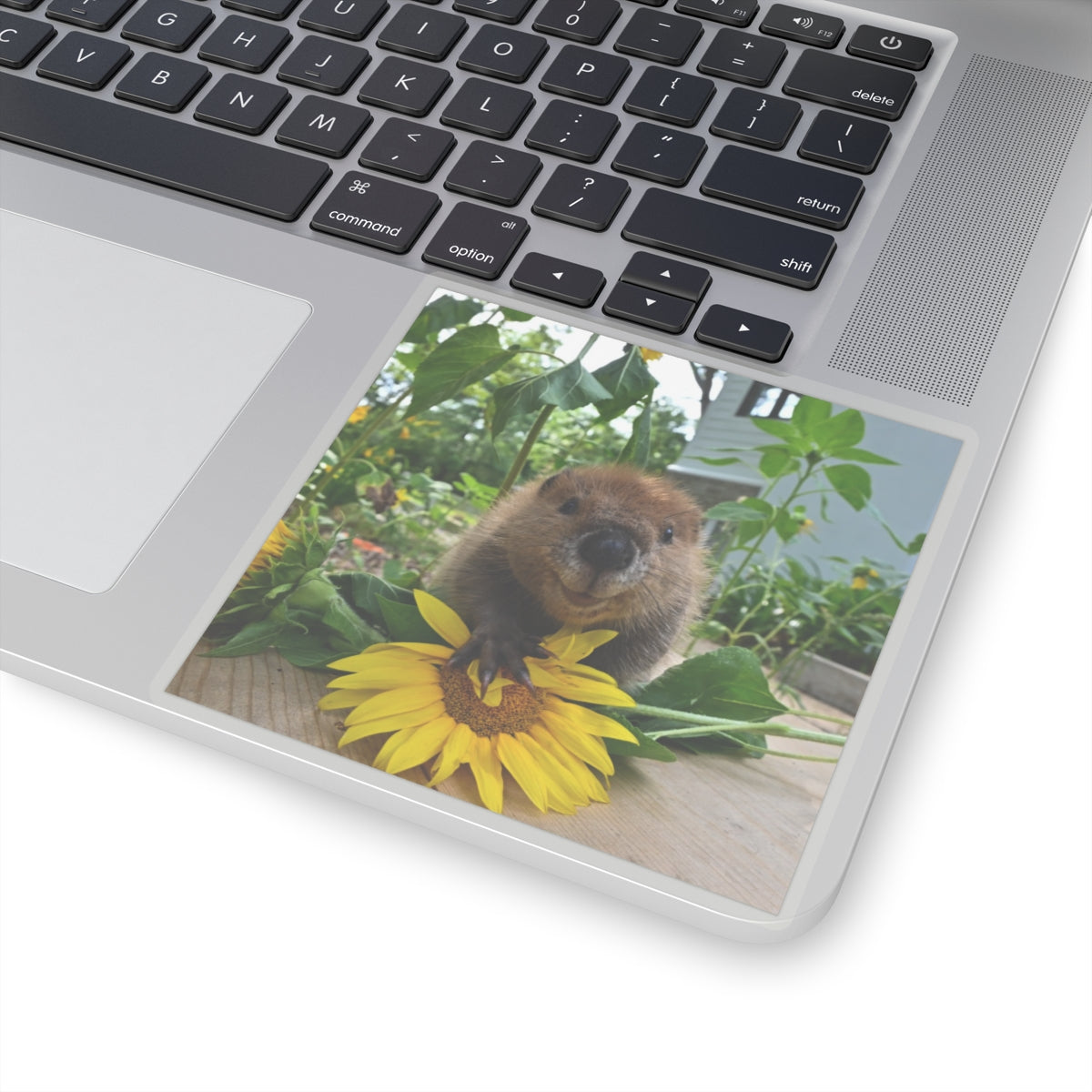 Petunia Baby Beaver Kiss-Cut Stickers