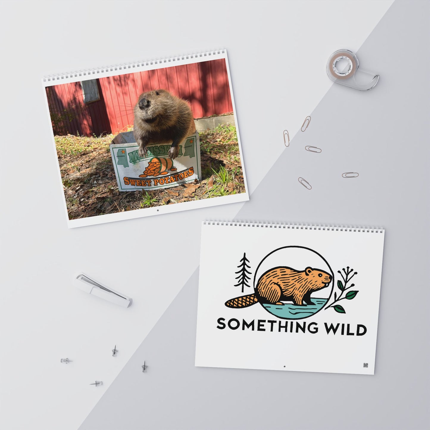 2026 Cute Beaver Wall Calendar — Adorable Beaver Photos Monthly