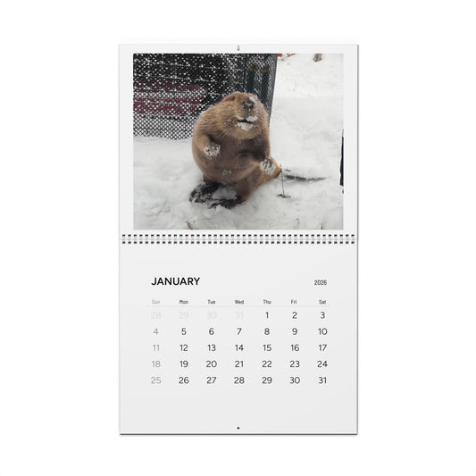 2026 Cute Beaver Wall Calendar — Adorable Beaver Photos Monthly