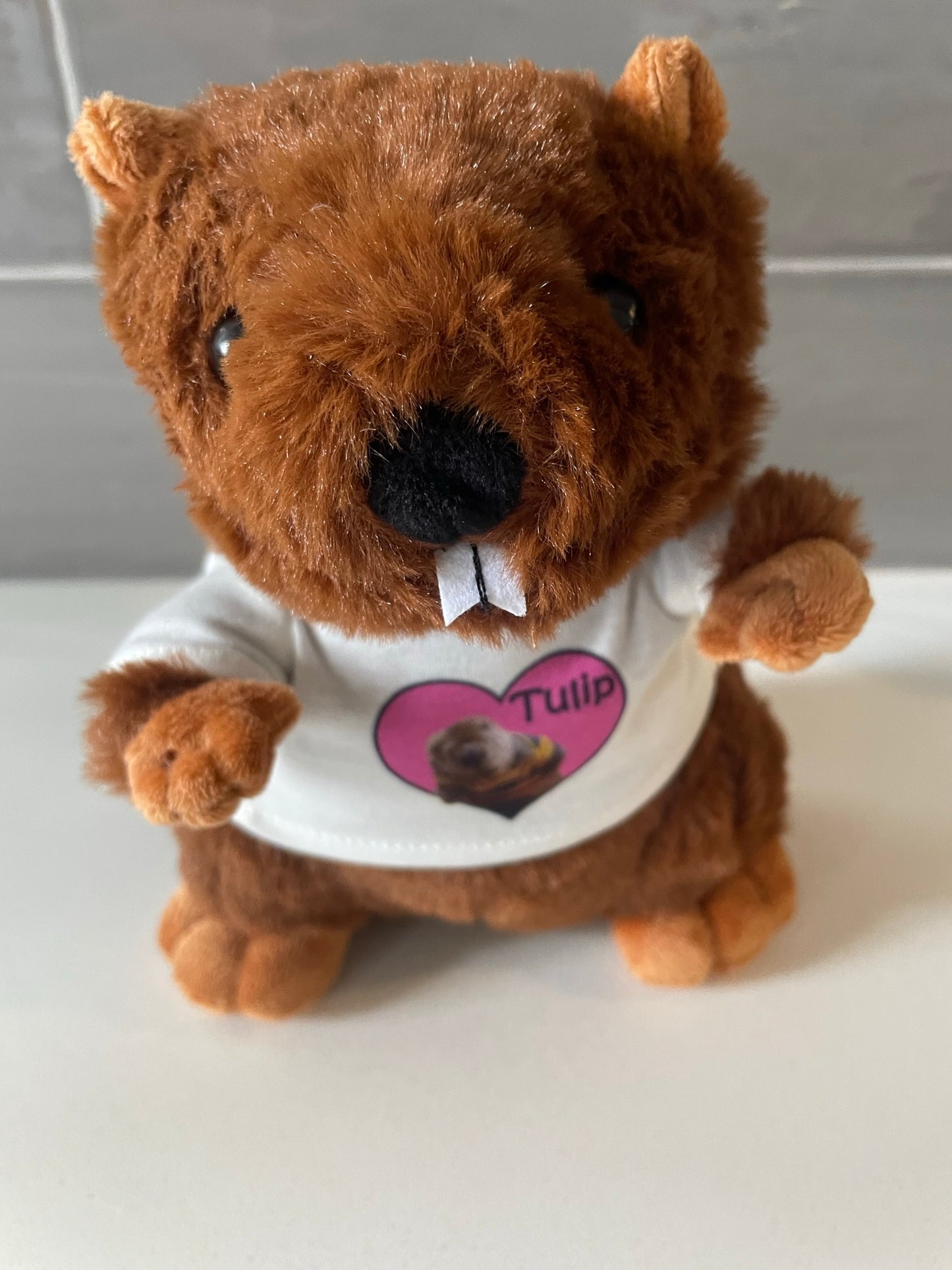 Tulip Beaver Plush LIMITED EDITION