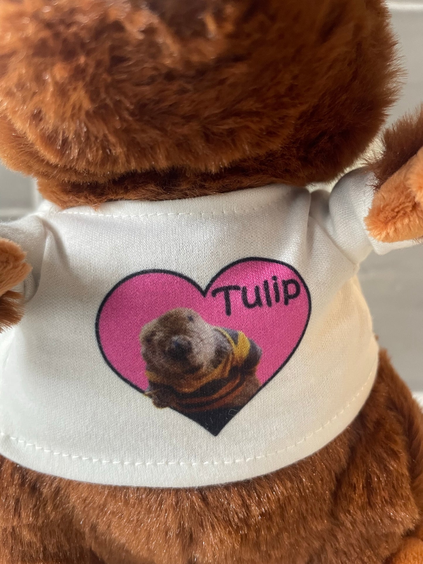 Tulip Beaver Plush LIMITED EDITION