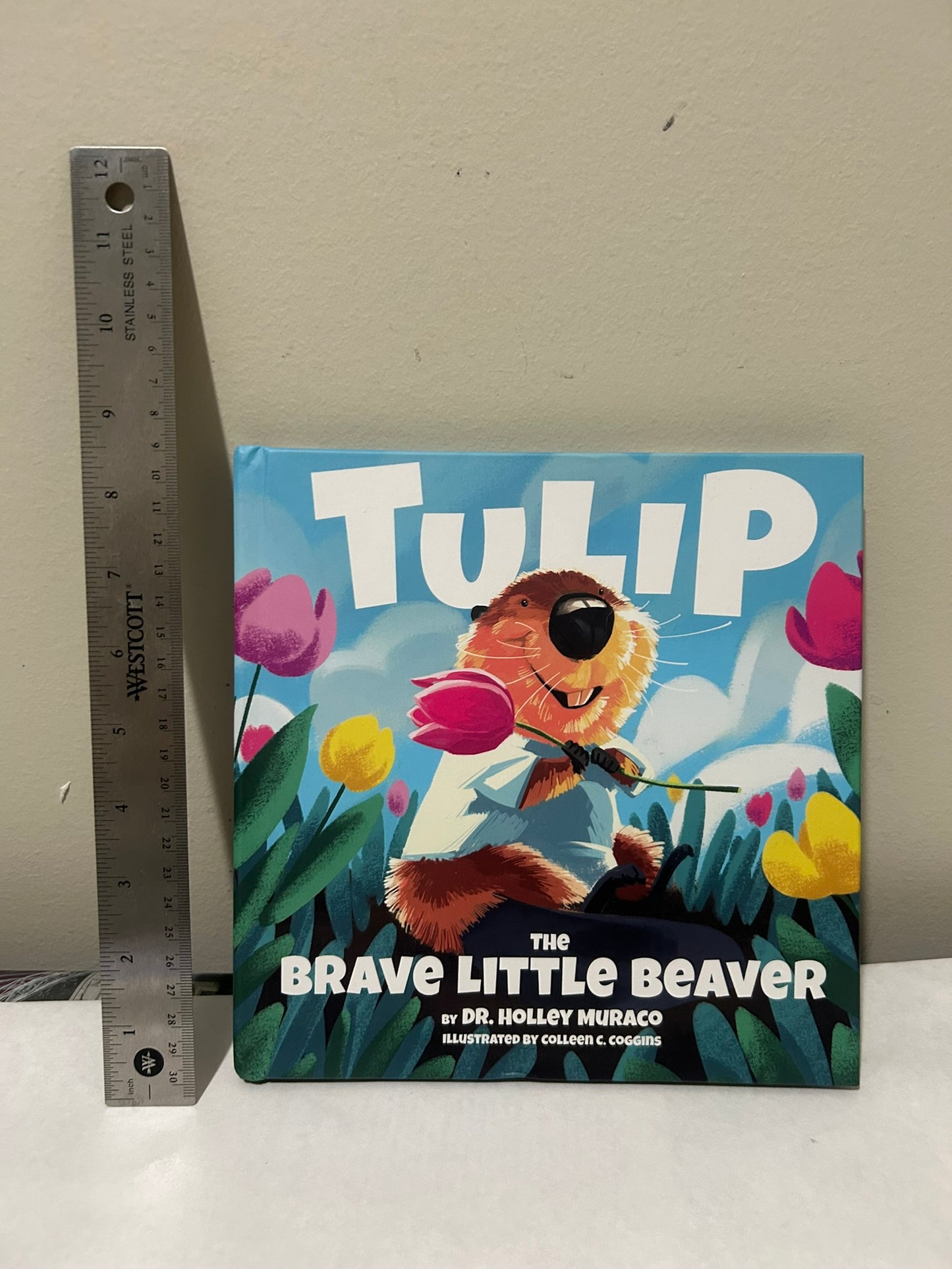 NOW SHIPPING Tulip Fan Pack Limited Edition