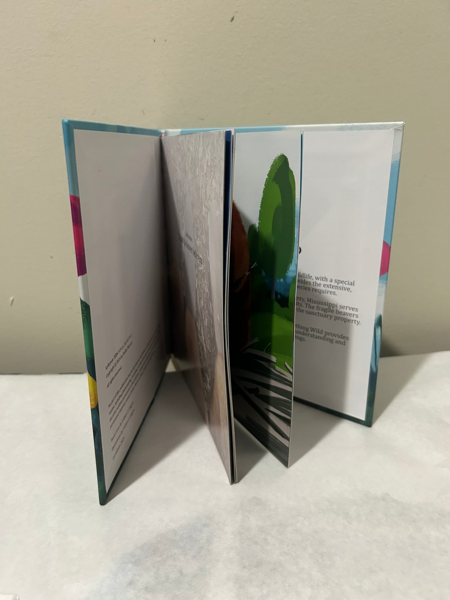 NOW SHIPPING Tulip Fan Pack Limited Edition