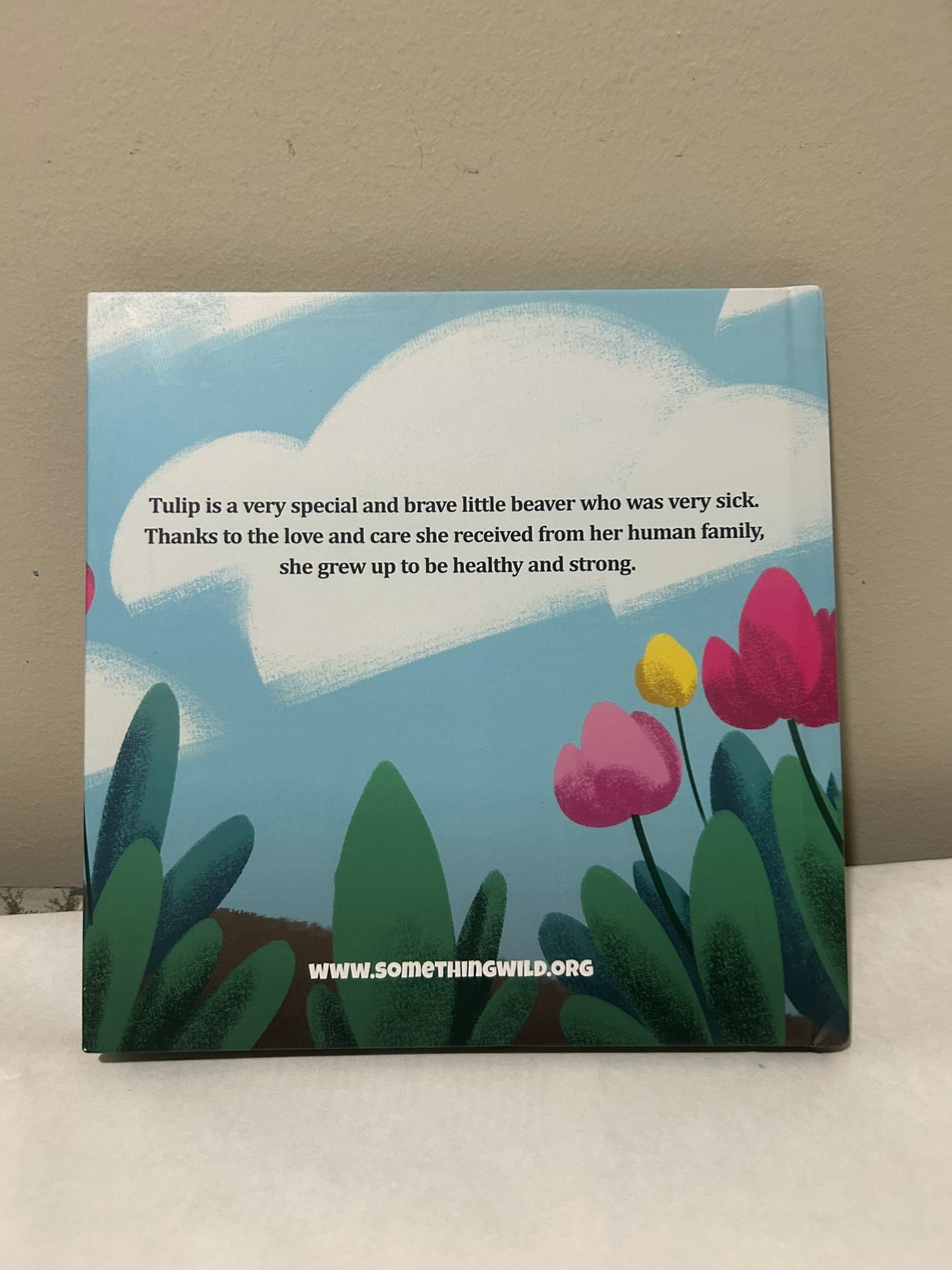 NOW SHIPPING Tulip Fan Pack Limited Edition