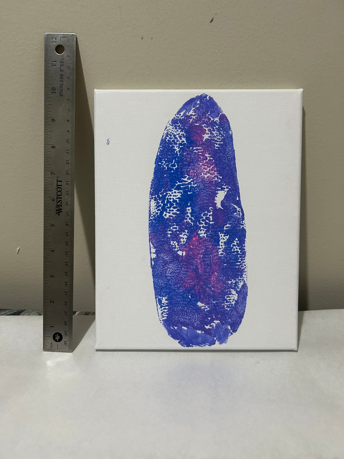 NOW SHIPPING Tulip Fan Pack Limited Edition