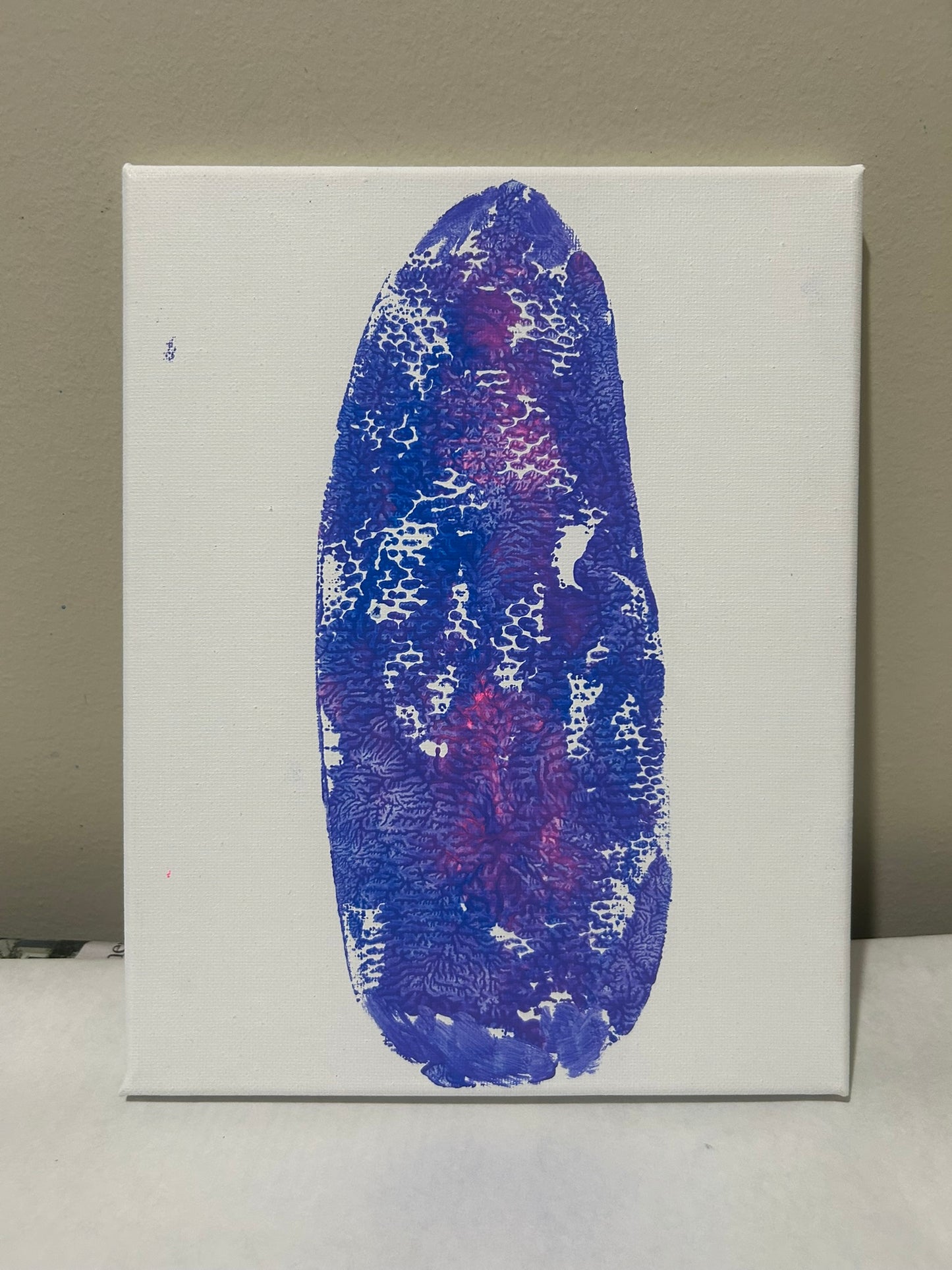 NOW SHIPPING Tulip Fan Pack Limited Edition