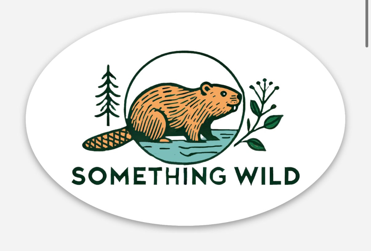 NOW SHIPPING Tulip Fan Pack Limited Edition