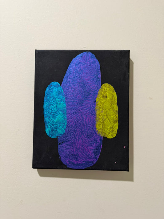 Tulip with Baby Sprout and Blossom 8x10 Black Canvas