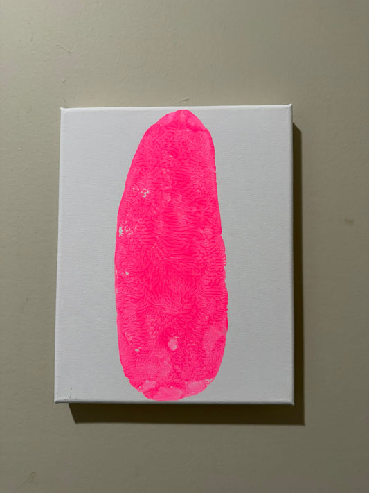 Hot Pink Tulip Tail Print on White 8x10 canvas