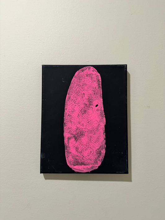 Hot Pink Tulip Tail Print on 8x10 Black Canvas