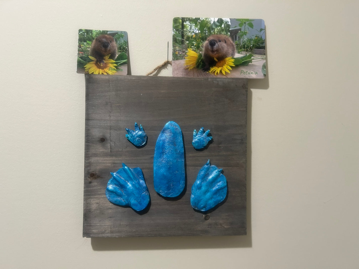 3D Petunia Tail, Paw and Flipper Cast 10x10 Grey Wooden Board Blue 1