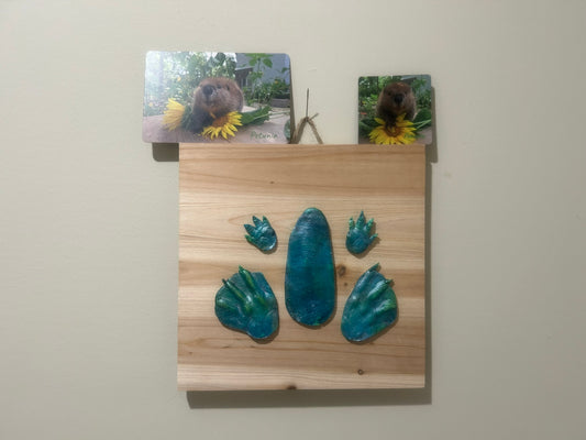 3D Petunia Tail, Paw and Flipper Cast 10x10 natural wooden board Green