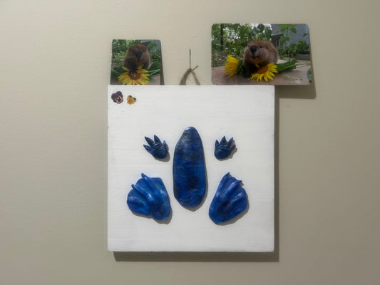 3D Petunia Tail, Paw and Flipper Cast 10x10 white wooden board blue