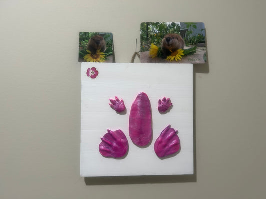 3D Petunia Tail, Paw and Flipper Cast 10x10 white wooden board pink