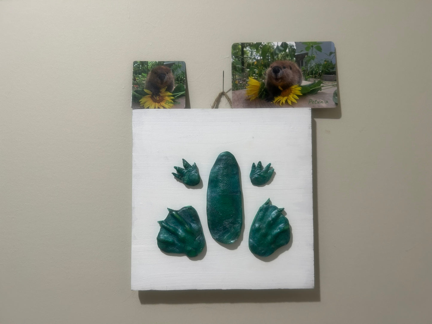 3D Petunia Tail, Paw and Flipper Cast 10x10 wooden board Green