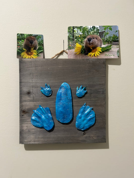 3D Petunia Tail, Paw and Flipper Cast 10x10 Grey Wooden Board Blue