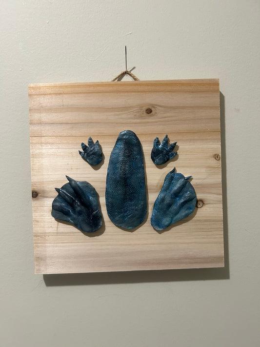 3D Petunia Tail, Paw and Flipper Cast 10x10 natural wooden board Blue Gray