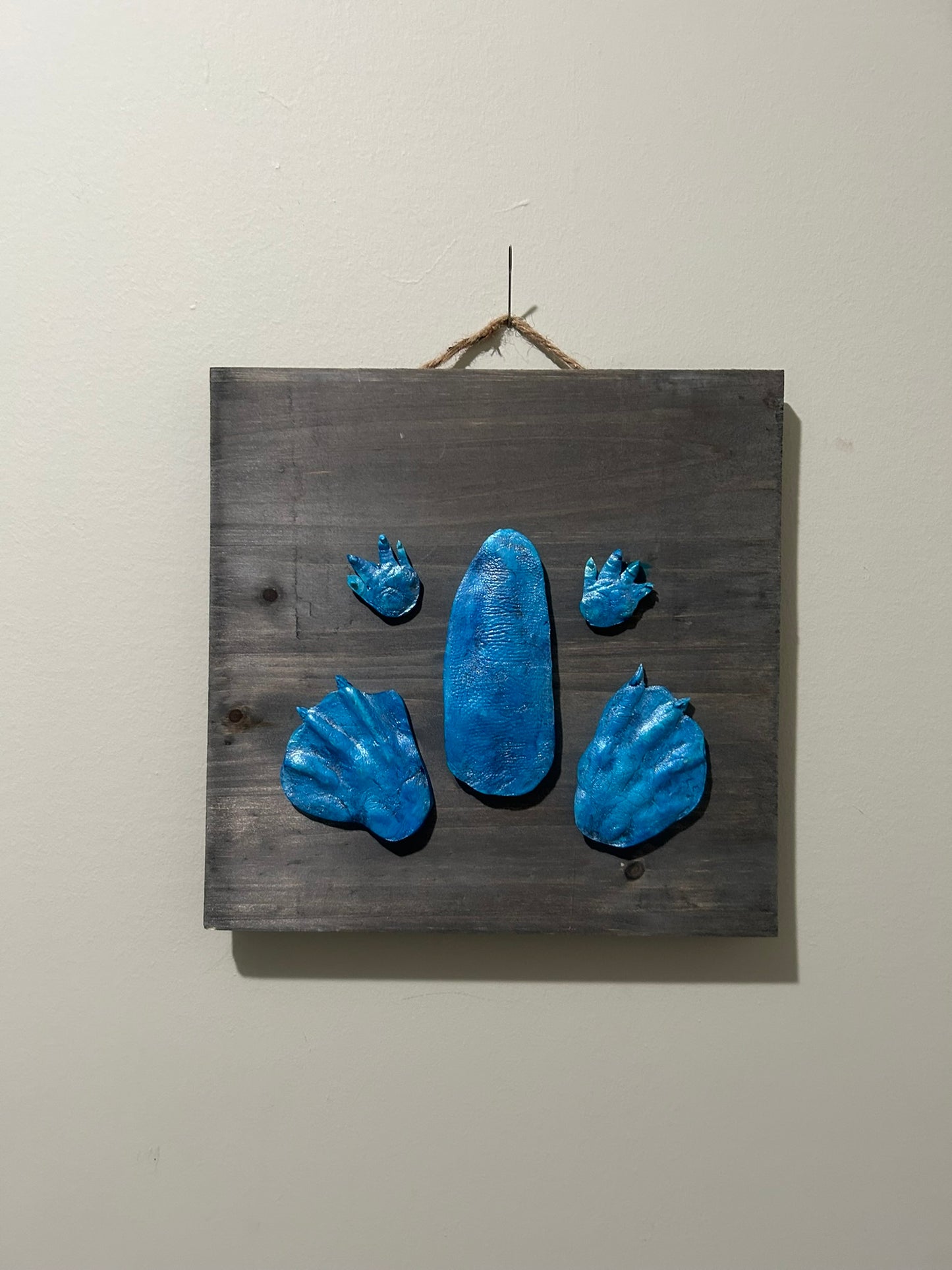 3D Petunia Tail, Paw and Flipper Cast 10x10 Grey Wooden Board Blue