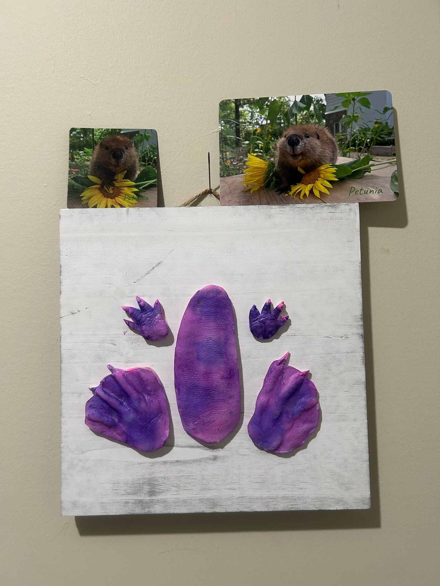 3D Petunia Tail, Paw and Flipper Cast 10x10 white wooden board Purple