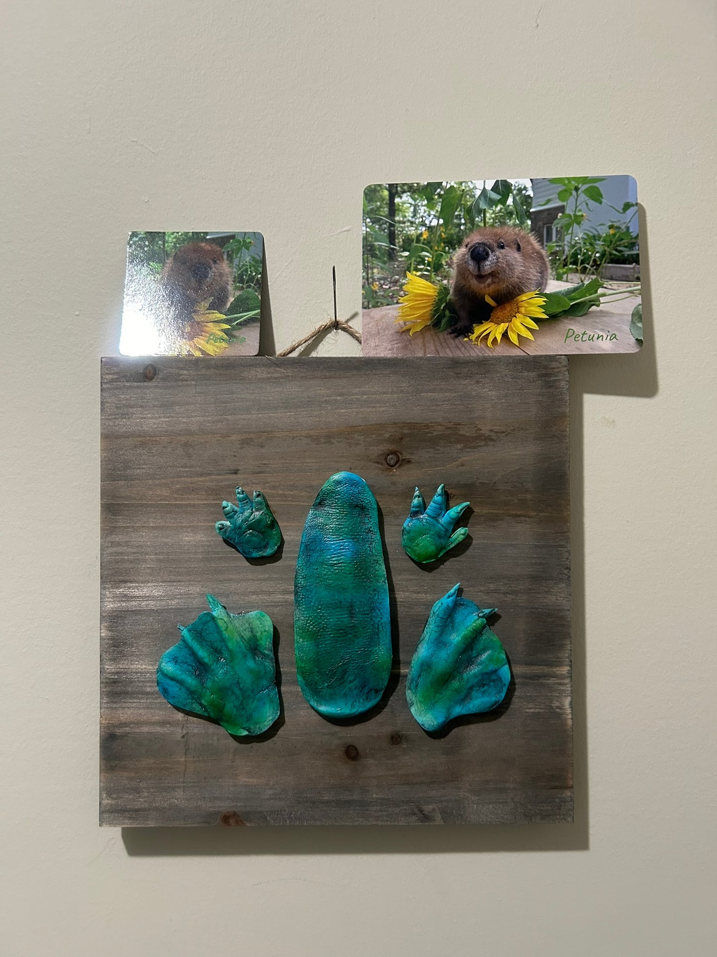 3D Petunia Tail, Paw and Flipper Cast 10x10 Grey Wooden Board Green