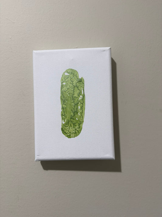 Baby Fern Tail Print on 5x7 white canvas