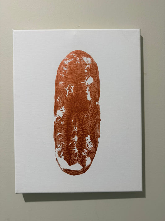 Windy Tail Print 11x14 white canvas